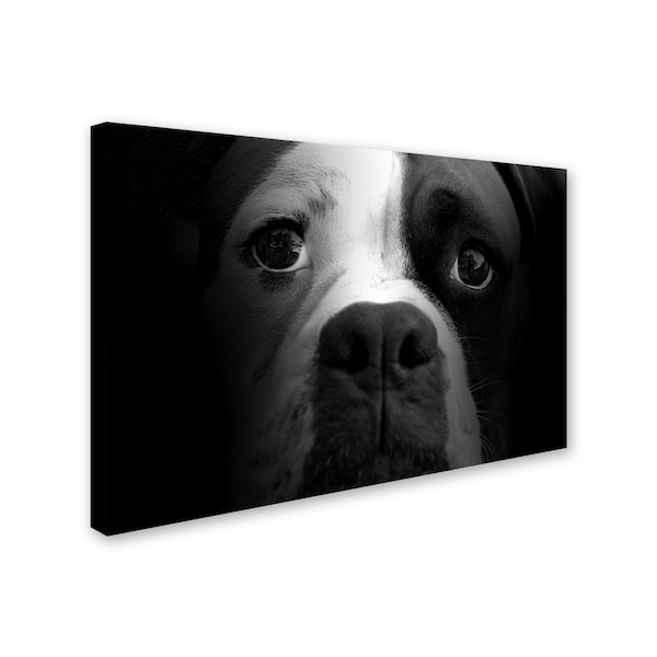 Lori Hutchison 'Boxer Pup' Canvas Art,30x47